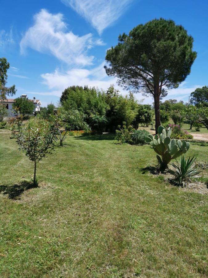 Home Garden Siniscola Ngoại thất bức ảnh