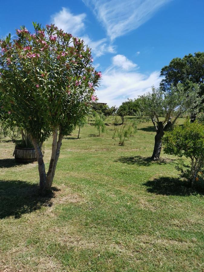 Home Garden Siniscola Ngoại thất bức ảnh