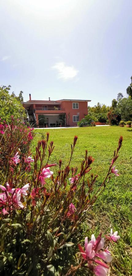 Home Garden Siniscola Ngoại thất bức ảnh